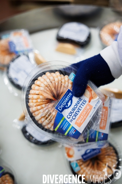 Usine de crevettes
