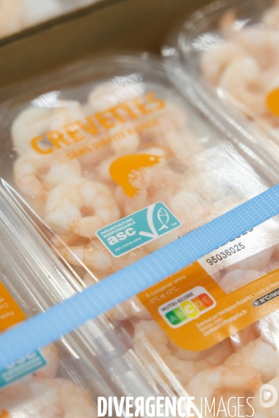 Usine de crevettes