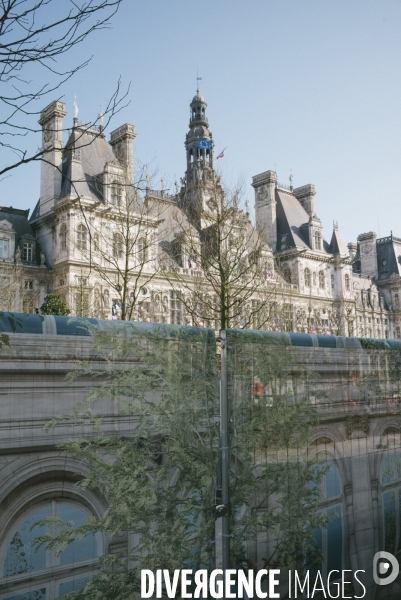 Végétalisation du parvis de l Hôtel de Ville
