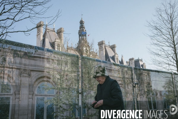 Végétalisation du parvis de l Hôtel de Ville
