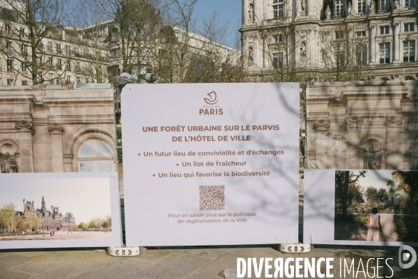 Végétalisation du parvis de l Hôtel de Ville