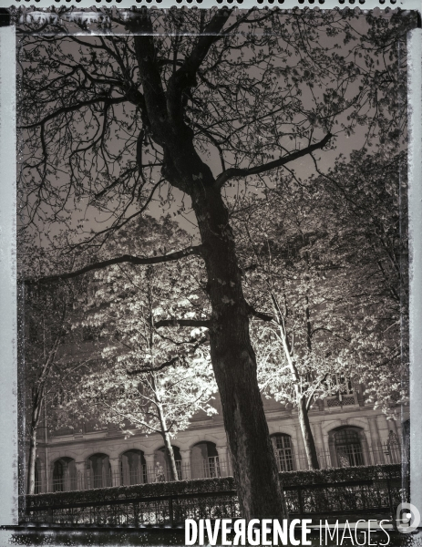 Jardin de l Observatoire