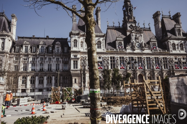 Végétalisation du parvis de l’Hotel de Ville
