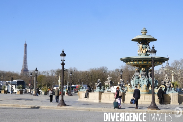 Les palmiers de la place de la concorde
