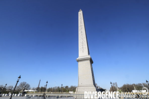 Les palmiers de la place de la concorde