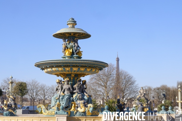 Les palmiers de la place de la concorde
