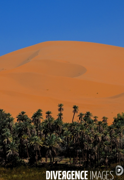 Taghit