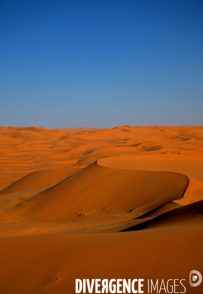 Taghit