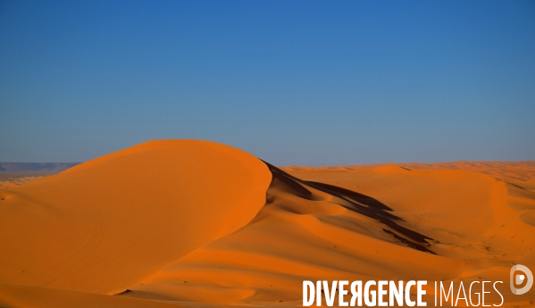 Taghit