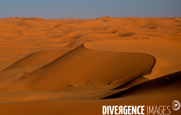 Taghit