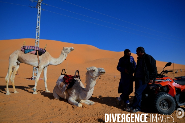 Taghit