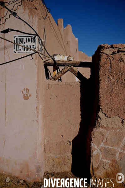 Taghit