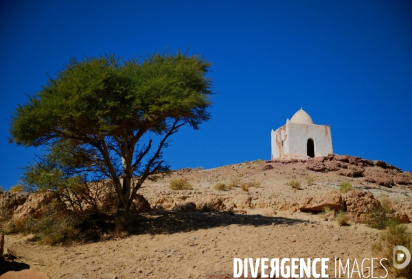 Taghit