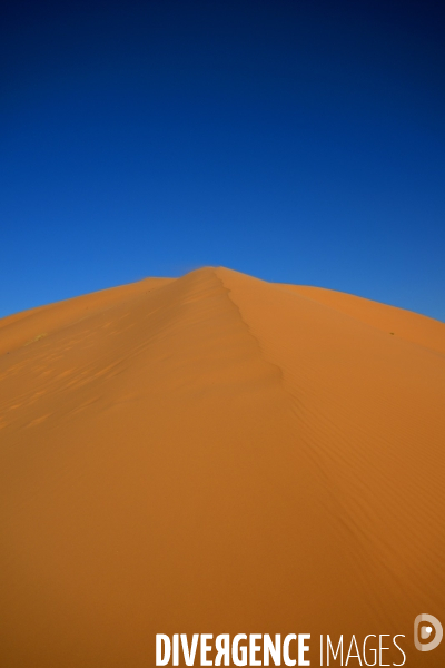Taghit