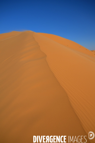 Taghit