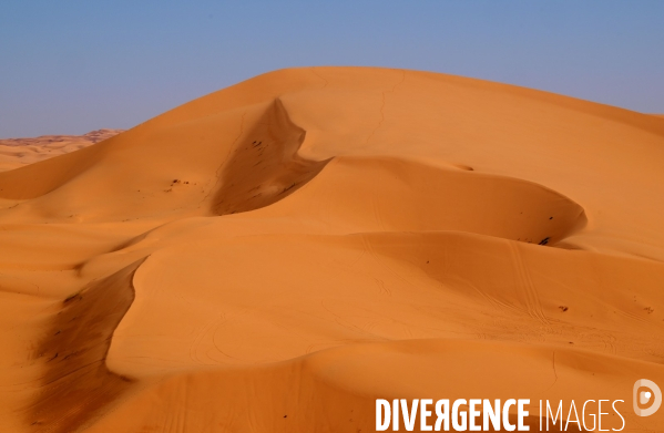 Taghit
