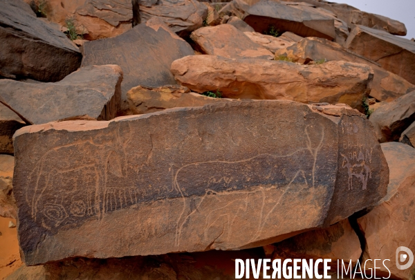 Gravures préhistoriques de Taghit