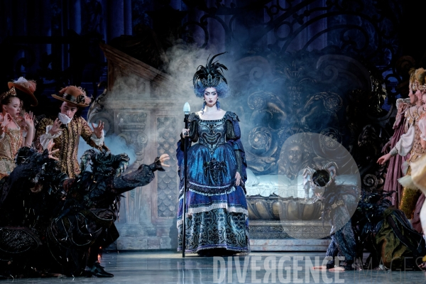 La Belle au bois dormant / Rudolf Noureev / Ballet de l Opéra national de Paris