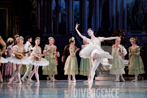 La Belle au bois dormant / Rudolf Noureev / Ballet de l Opéra national de Paris