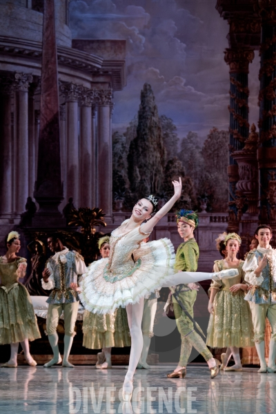 La Belle au bois dormant / Rudolf Noureev / Ballet de l Opéra national de Paris