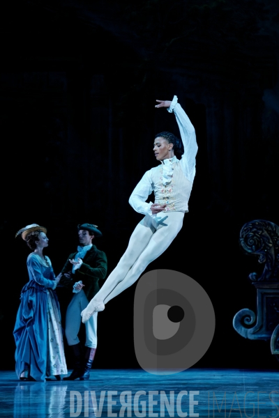 La Belle au bois dormant / Rudolf Noureev / Ballet de l Opéra national de Paris