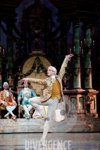La Belle au bois dormant / Rudolf Noureev / Ballet de l Opéra national de Paris