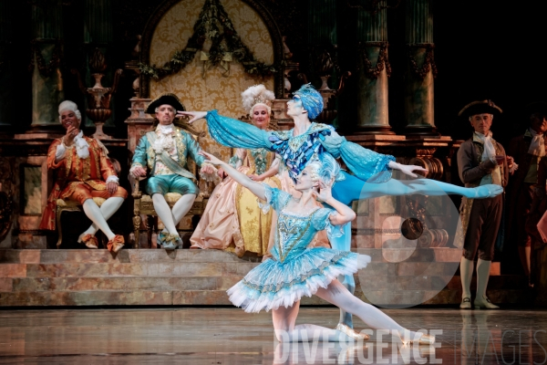 La Belle au bois dormant / Rudolf Noureev / Ballet de l Opéra national de Paris