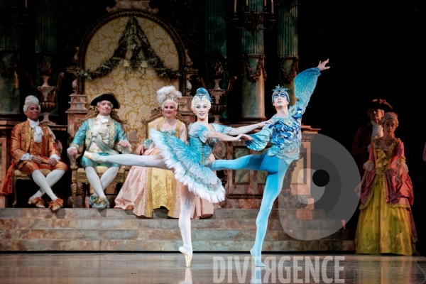 La Belle au bois dormant / Rudolf Noureev / Ballet de l Opéra national de Paris