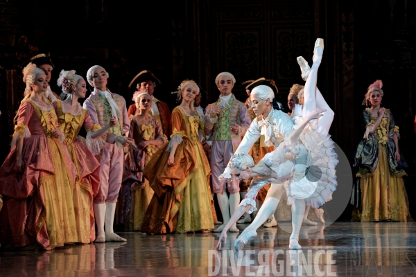 La Belle au bois dormant / Rudolf Noureev / Ballet de l Opéra national de Paris