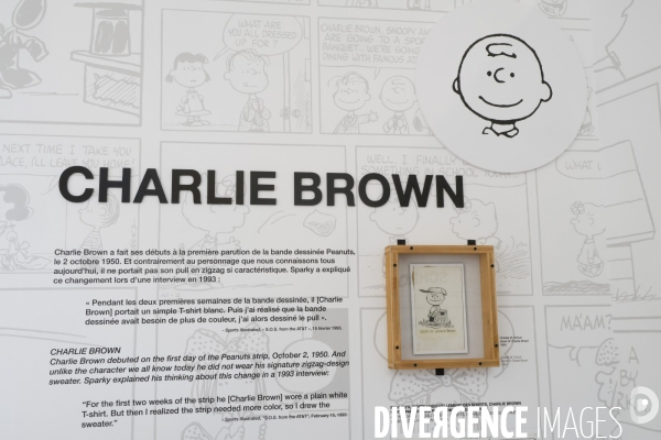 Exposition snoopy in style a paris