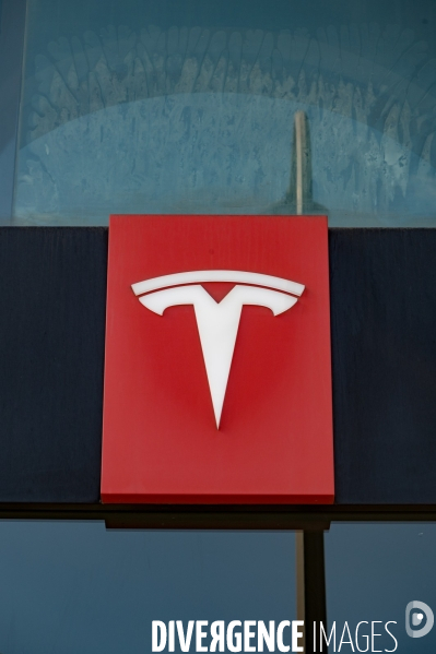 Journée mondiale d action contre Tesla