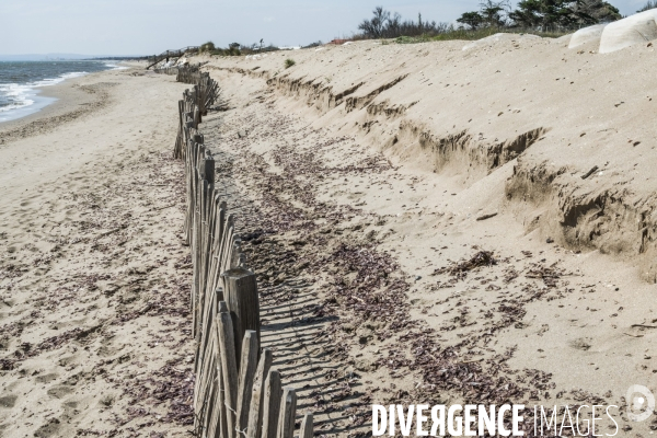 Erosion cotiere sur le littoral mediterraneen