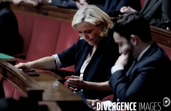 Marine Le Pen