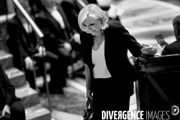 Marine Le Pen