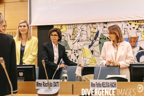 Commission des Affaires culturelles sur l examen de la loi sur l audiovisuel public