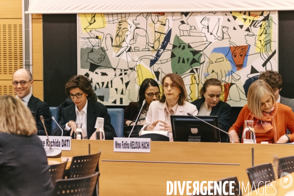 Commission des Affaires culturelles sur l examen de la loi sur l audiovisuel public