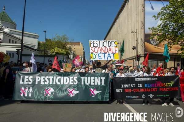 Printemps bruyant