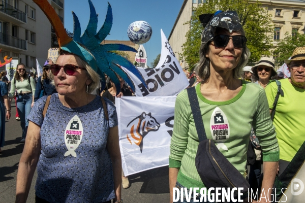 Printemps bruyant