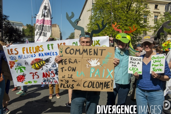 Printemps bruyant