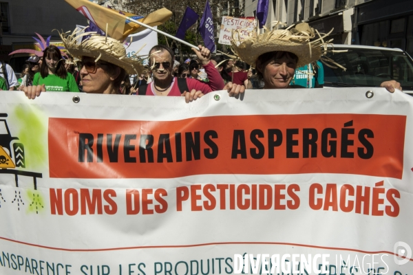 Printemps bruyant