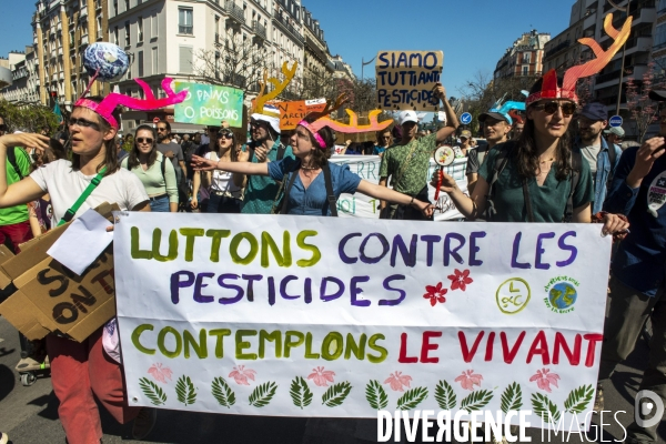 Printemps bruyant
