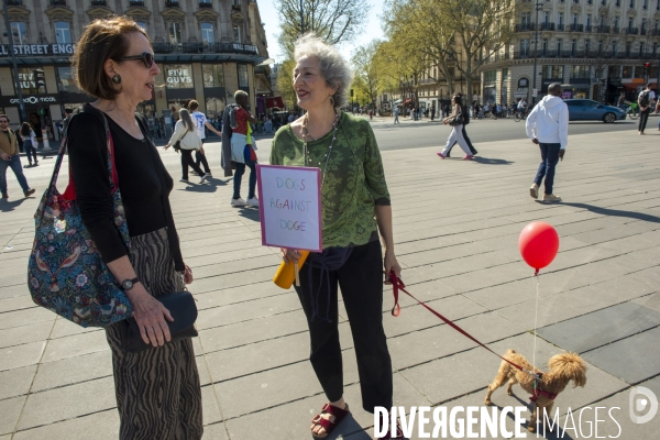 Paris contre Trump