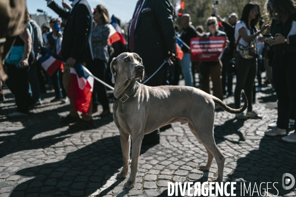 Manifestation du RN en soutien à Marine Le Pen