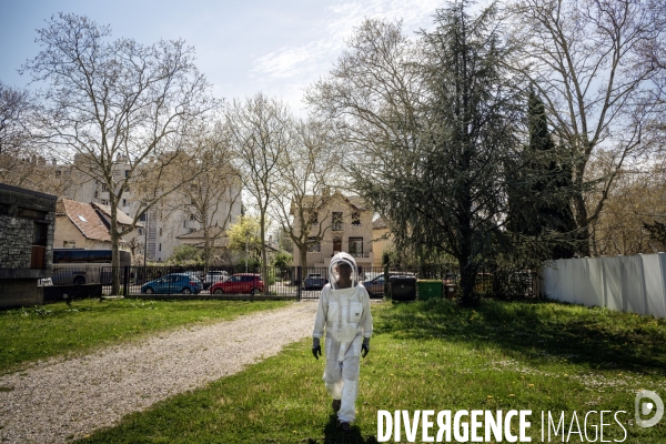 Apiculture : Visite de printemps d’un rucher Grenoblois