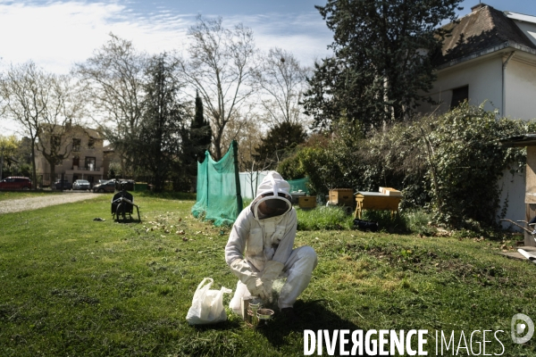 Apiculture : Visite de printemps d’un rucher Grenoblois