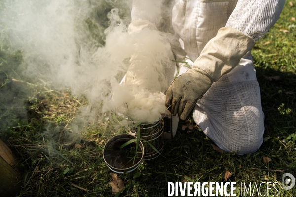 Apiculture : Visite de printemps d’un rucher Grenoblois