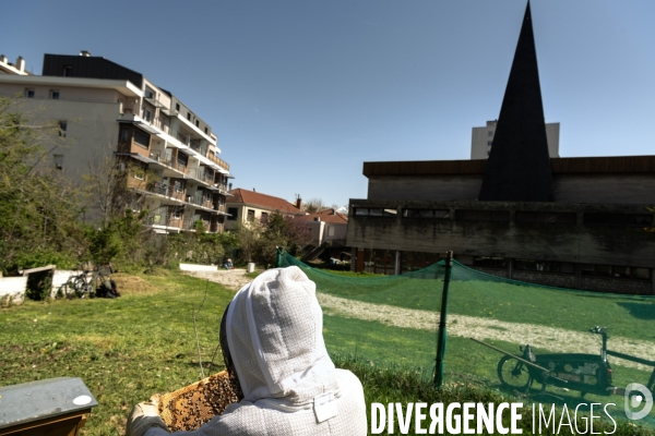 Apiculture : Visite de printemps d’un rucher Grenoblois