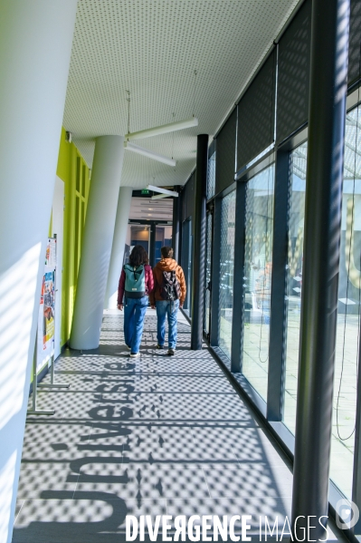 Nantes Université