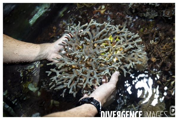 Les coulisses de nausicaa