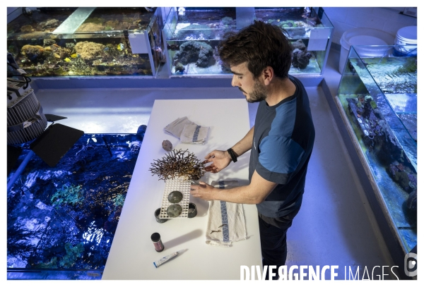 Les coulisses de nausicaa